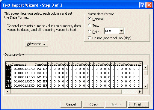 Excel Text Import Wizard 5