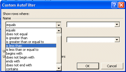 Excel Auto Filter